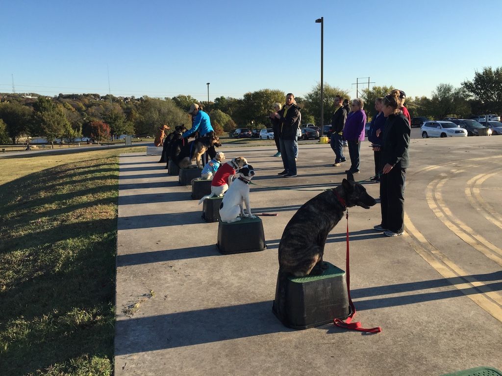 Dog Training Tulsa | Demonstration