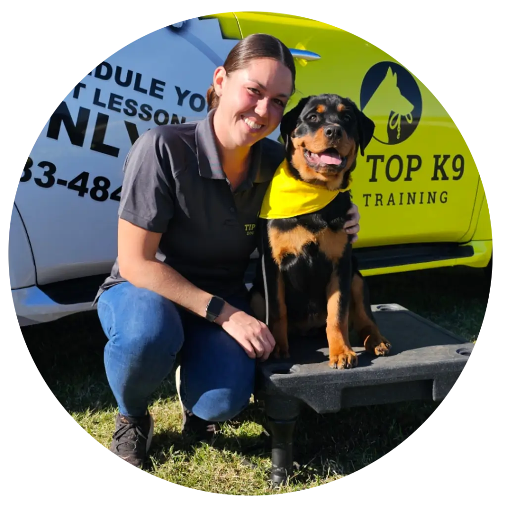 Dog Training in The Woodlands, TX Certified Dog Trainers
