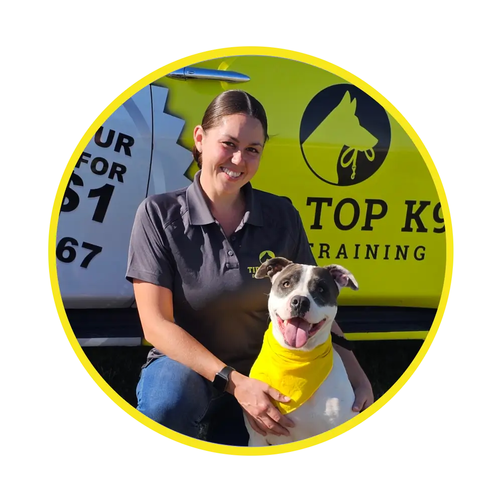 Dog Board and Train in Tucson, AZ PAWsitive Results!