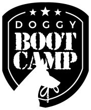 BootCamp Logo