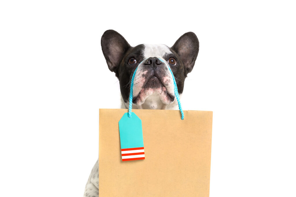French Bulldog With The Shopping Bag