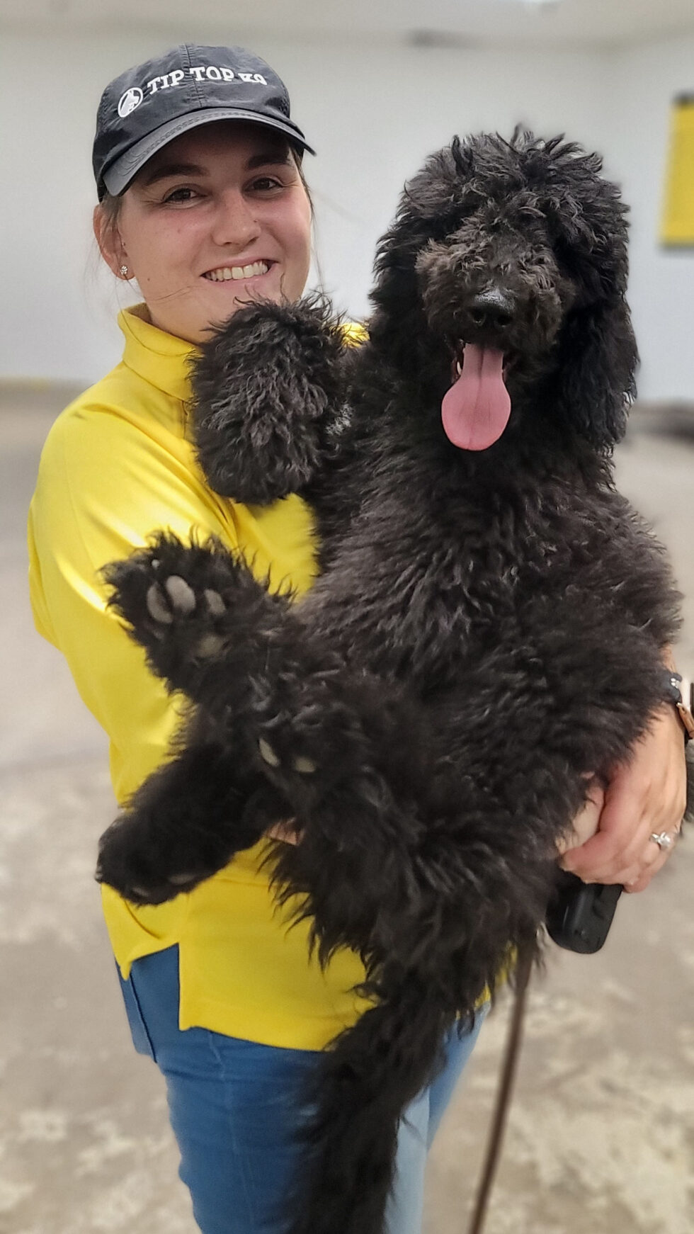 Dog Trainers in Myrtle Beach no more bad dogs