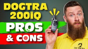 Dogtra Blog Image