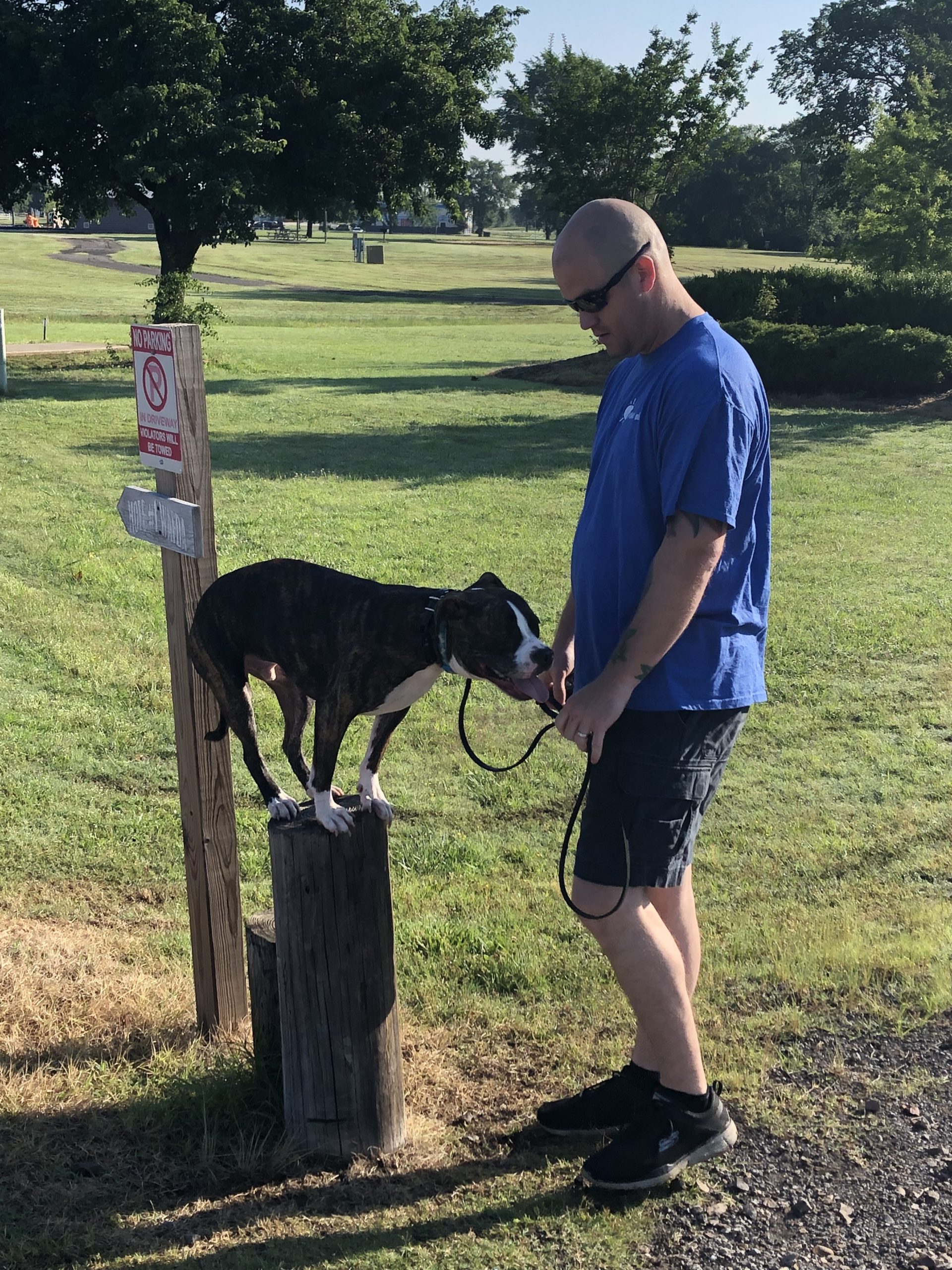 Bob's dogs clearance fort smith ar