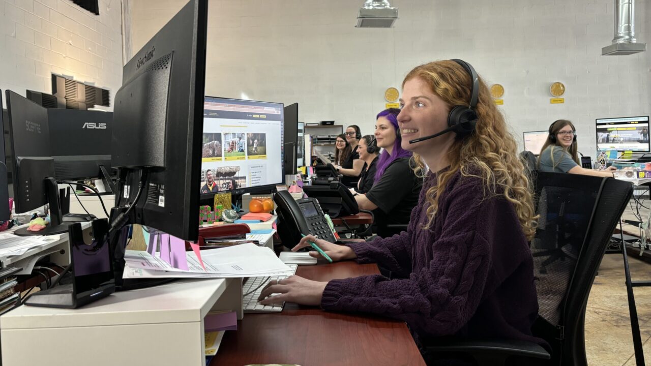 Dog Boot Camp Tip Top K9