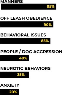 PollGraphic