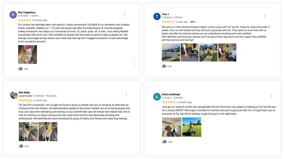 Tip Top K9 Dog Training Dog Board and Training Program