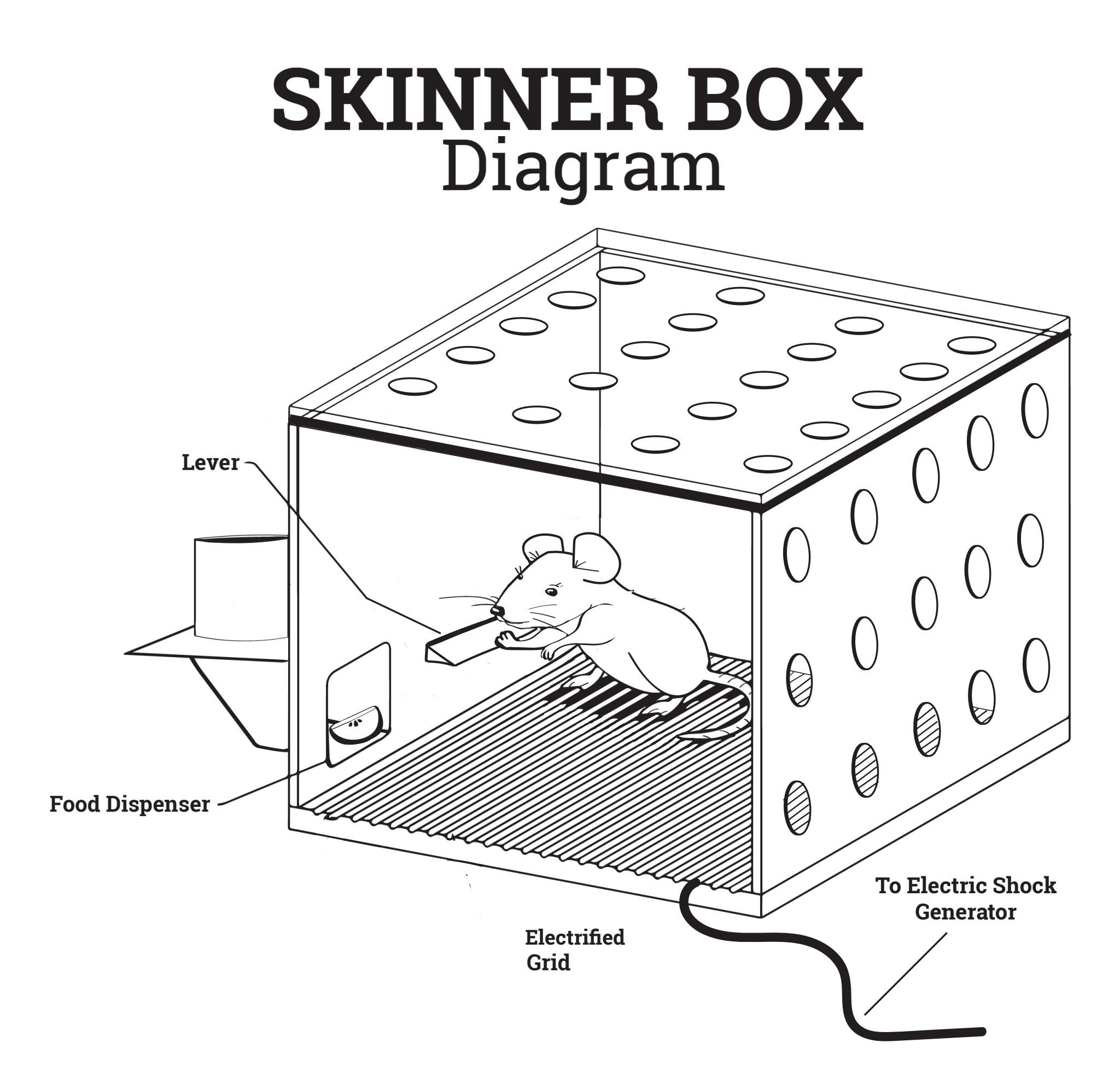Skinner Box BF Skinner