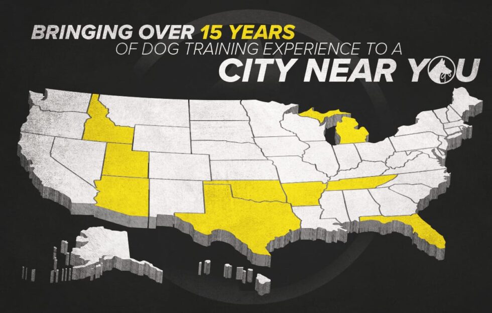 Tip Top K9 Dog Training Dog Board and Train Program