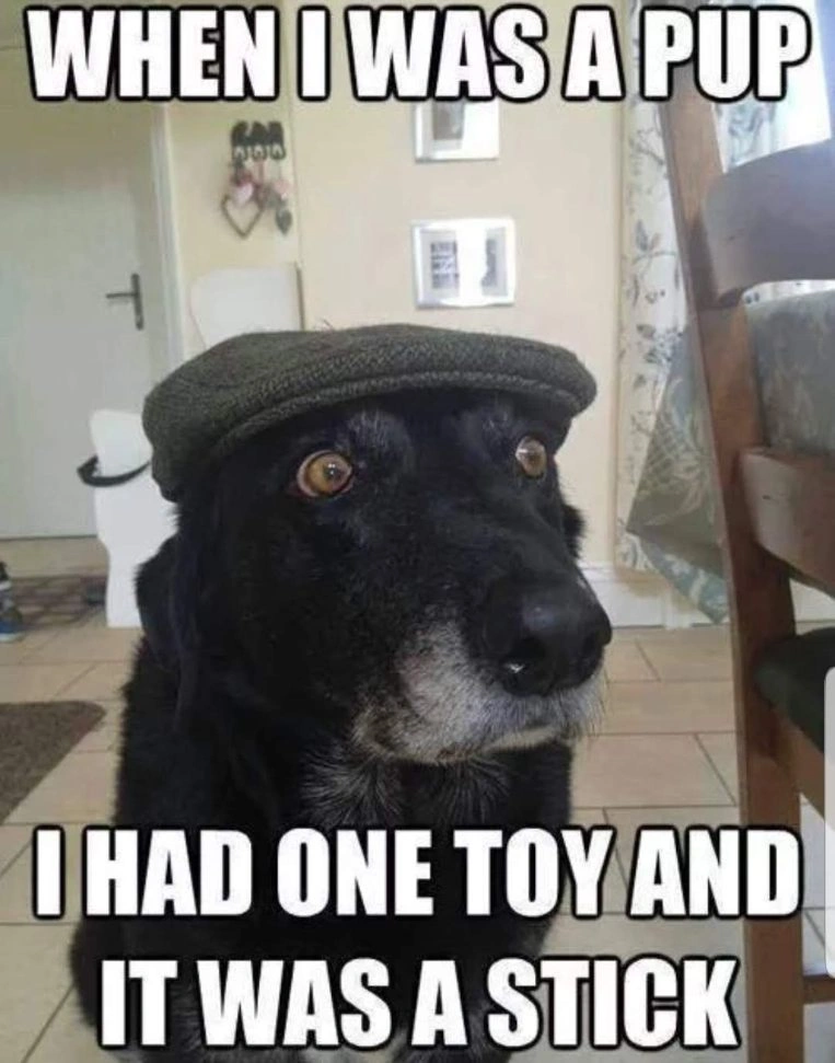 Cute Funny Lab Meme