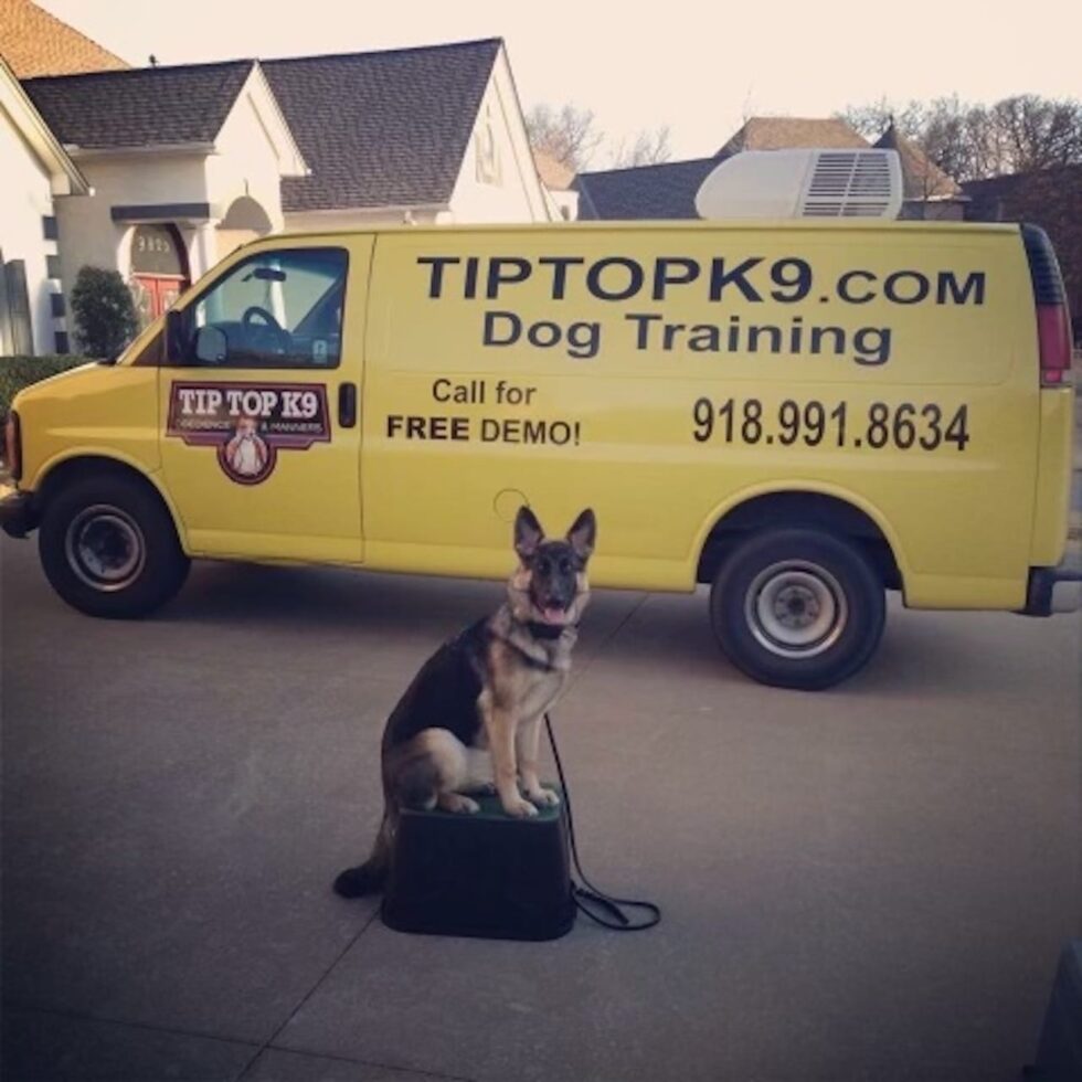 Our Story Tip Top K9 Dog Training Tulsa Tulsa Dog Training