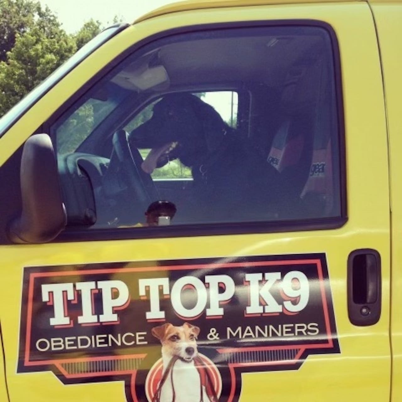 Tip top hot sale k9 training