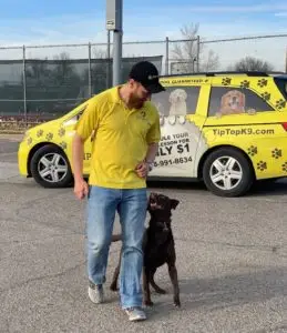 Dog Training Tulsa At A Park