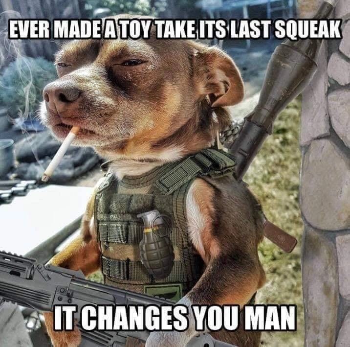 Entertaining Pitbull Pup Meme