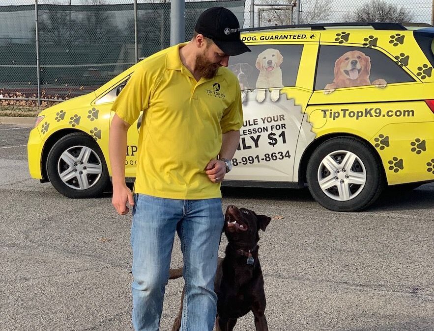 Dog Training Tulsa At A Park