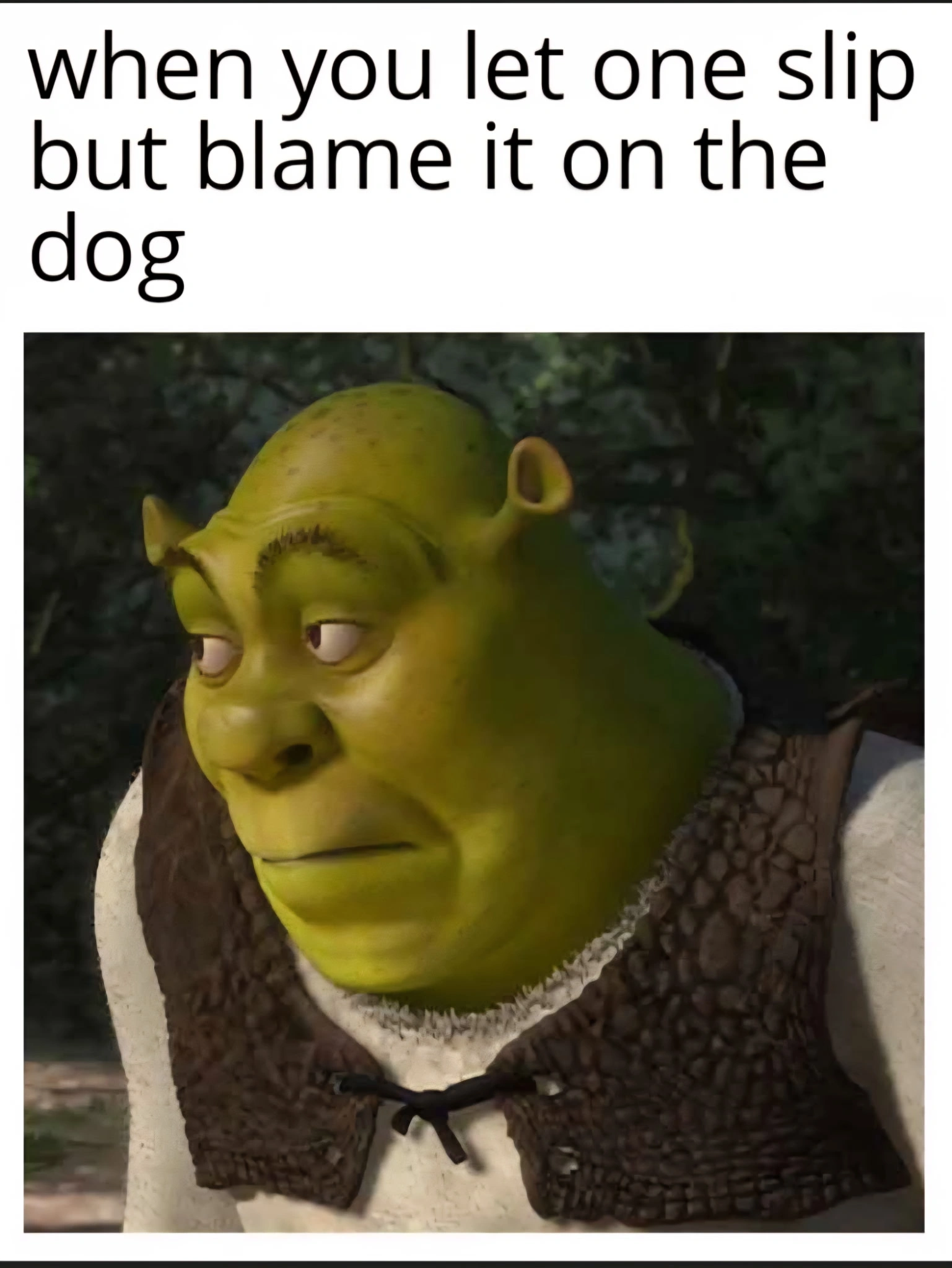Funnt Dog Humor