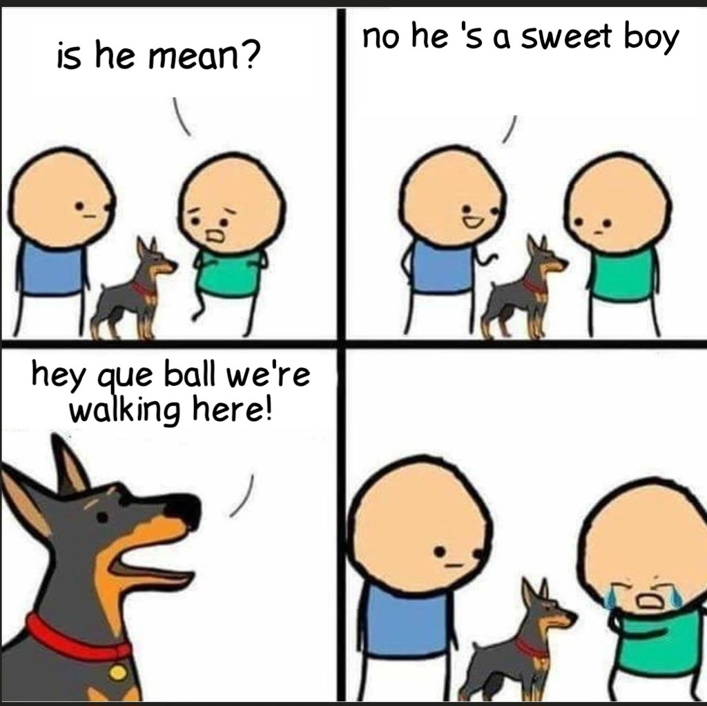Funny Cartoon Dog Meme