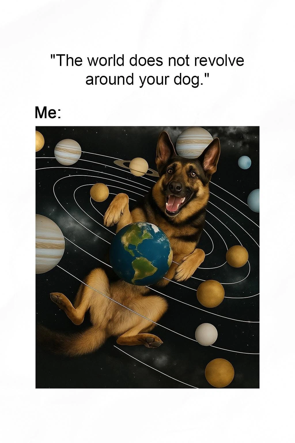 German Shepherd Funny Dog Meme