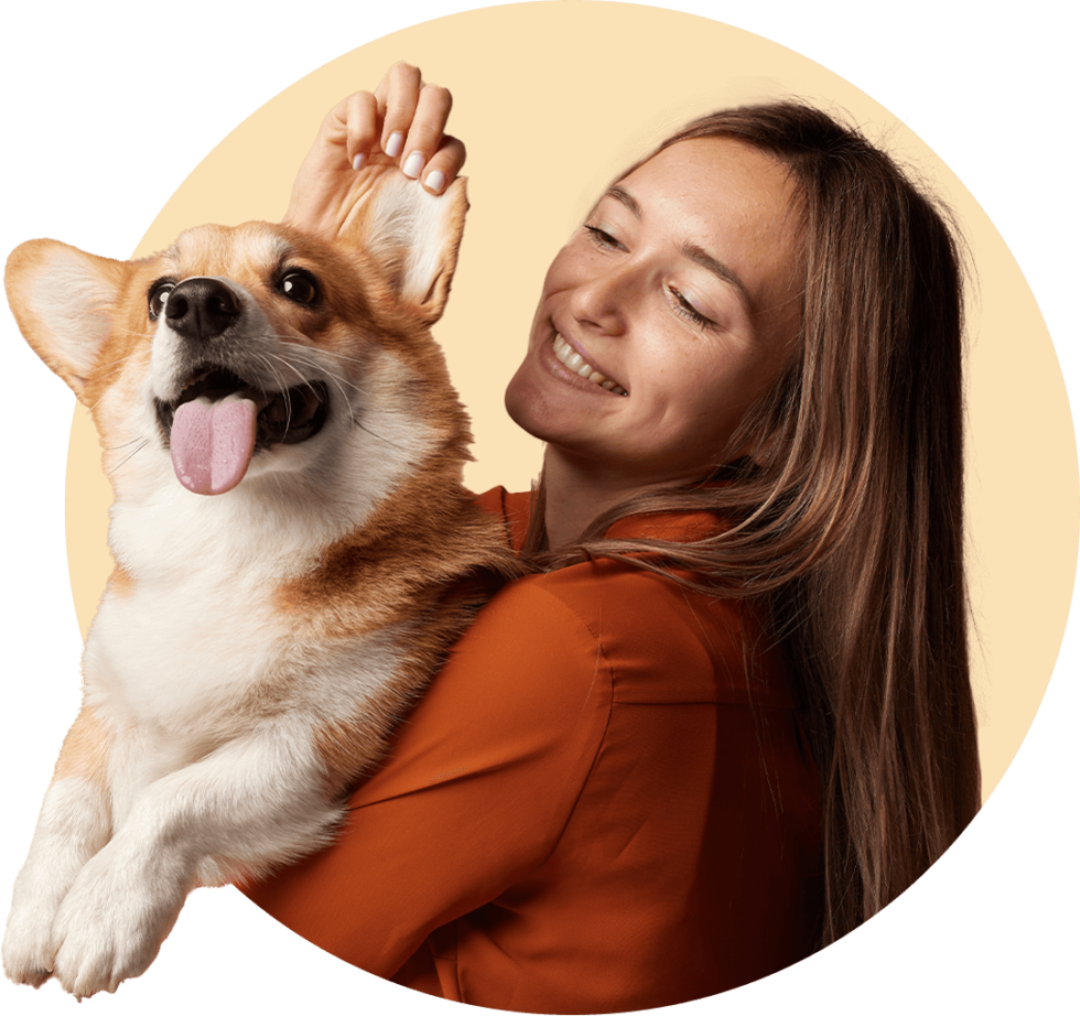 Plano Dog Training Plano Dog Training Tip Top K9