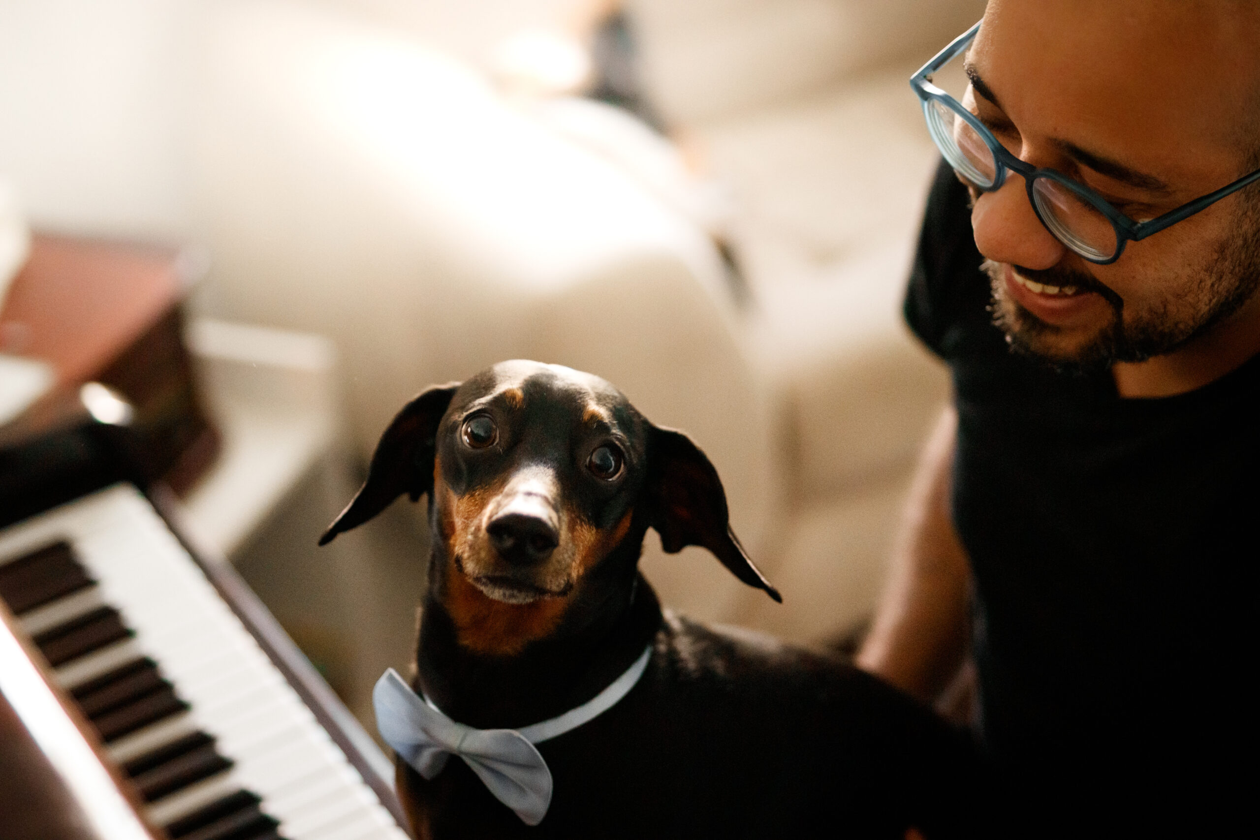 Dog At The Piano