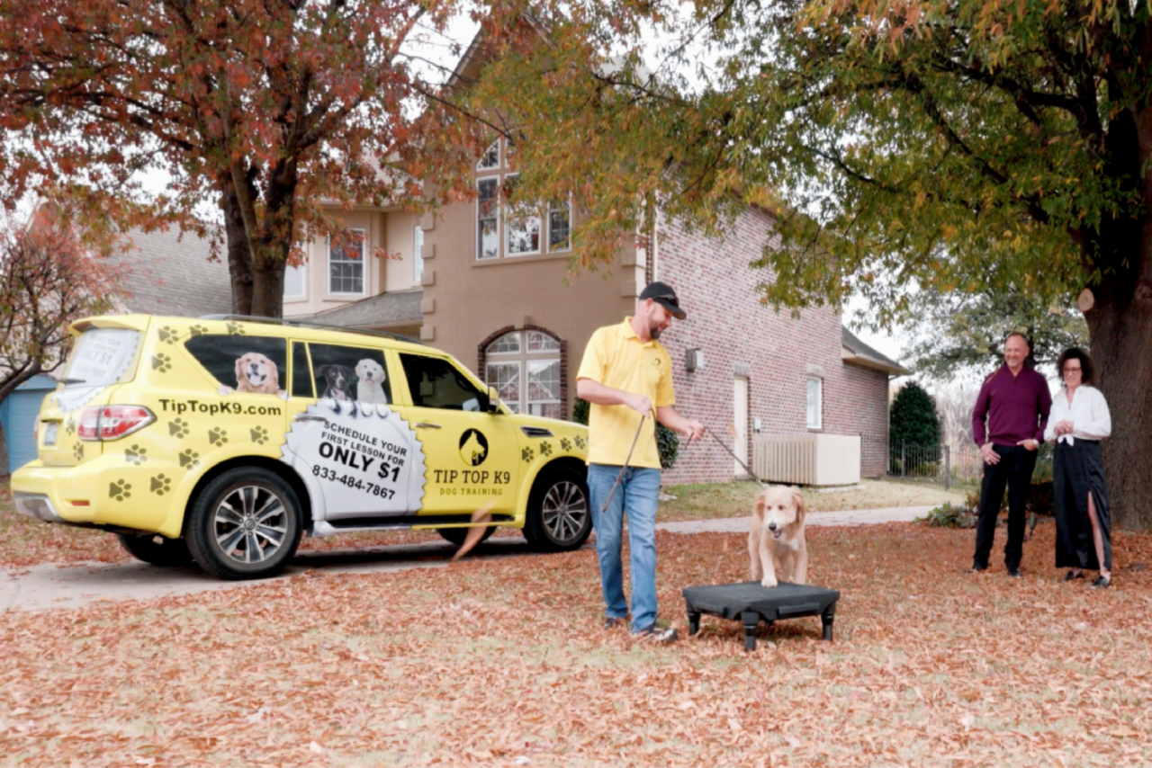 Dog Boot Camp Tip Top K9
