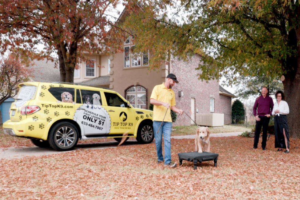 Dog Boot Camp Tip Top K9