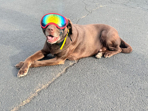 Ranger