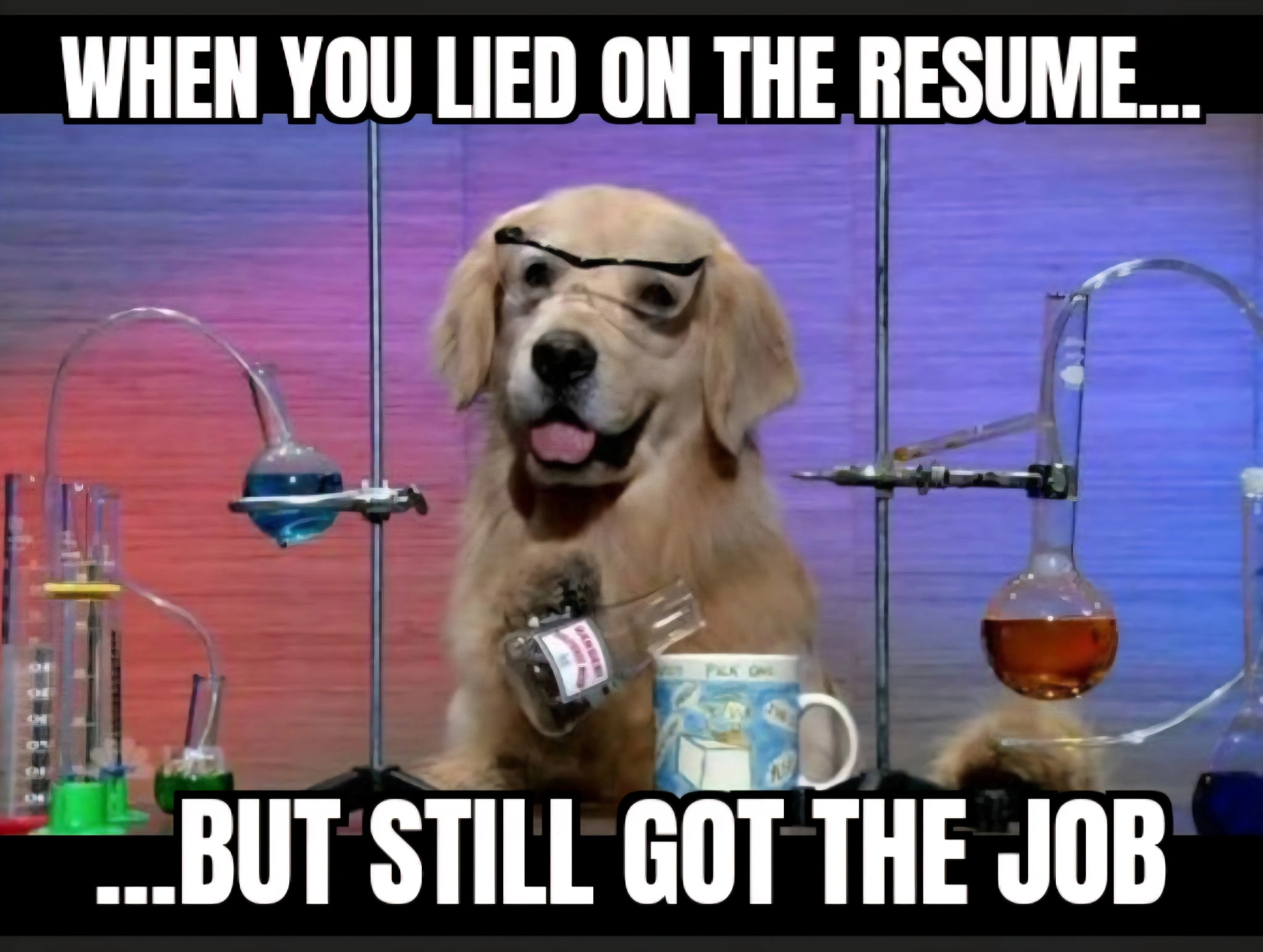 Ridiculous Labrador Dog Pooch Meme