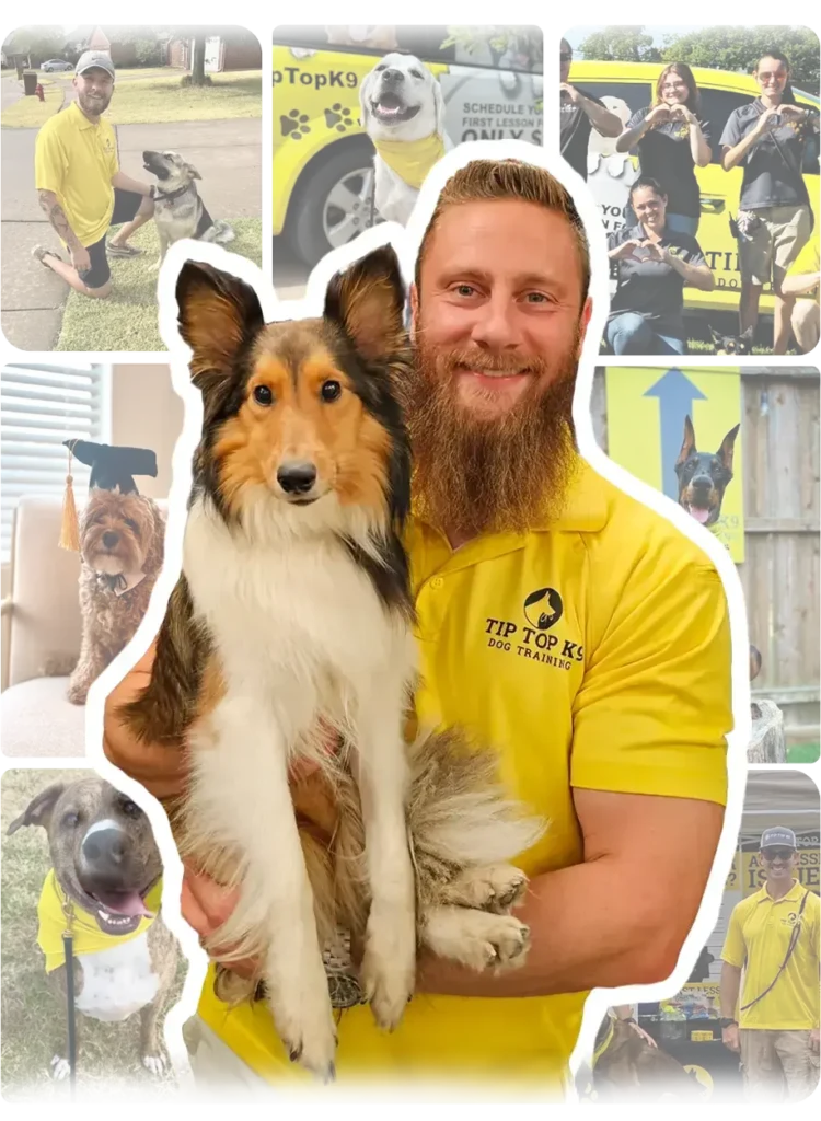 Ryan Cutout 1.webp