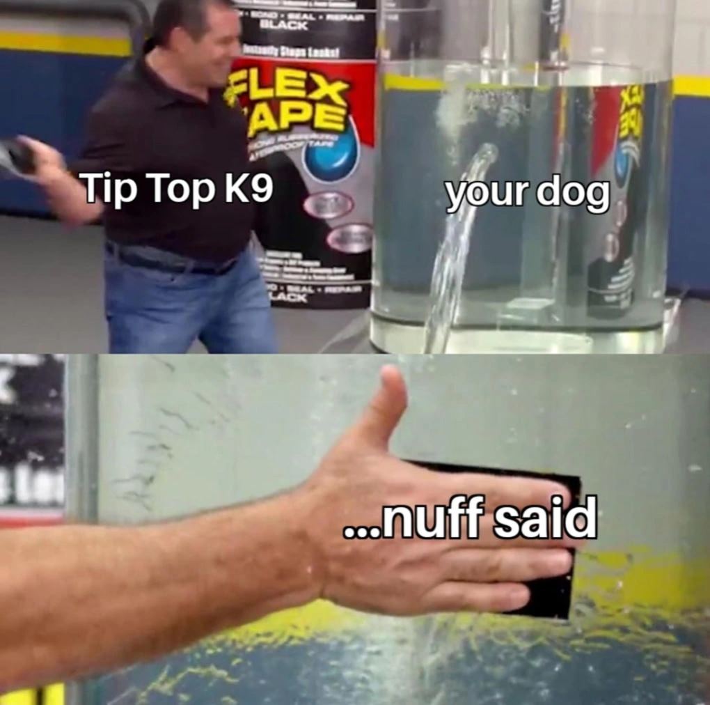 Tip Top K9 Dog Training Meme Funny